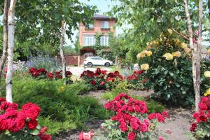 ピャチゴルスクにあるGuest House U Druzeyの花の庭