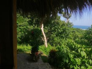 vistas a un jardín con árboles y al océano en El Eden Bungalows en Mazunte