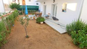 a garden with a small tree and a house at The Duke in Šibenik