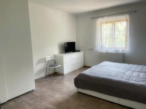 a bedroom with a bed and a tv and a chair at Holiday House Promenade in Lunz am See