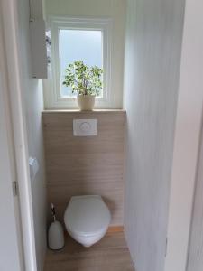 a bathroom with a toilet with a window and a plant at Tiny House Natur-Traum Zur Burg Eltz in Wierschem