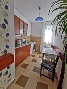 Η κουζίνα ή μικρή κουζίνα στο 1st Floor Apartman