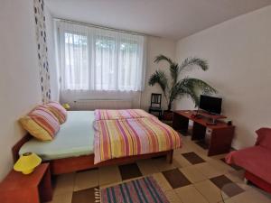 a bedroom with a bed and a desk and a television at 1st Floor Apartman in Szombathely