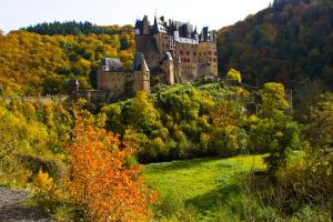 a castle on top of a hill with trees at Tiny House Natur-Traum Zur Burg Eltz in Wierschem +27 photos