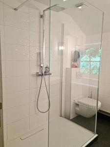 a bathroom with a glass shower with a toilet at Le Manoir De Morimont in Céroux-Mousty