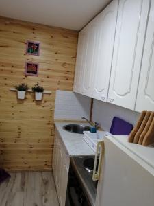 Kuchyň nebo kuchyňský kout v ubytování Etno selo Raković