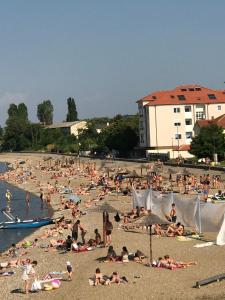 eine große Gruppe von Menschen am Strand in der Unterkunft Danubiana Apartments in Kladovo