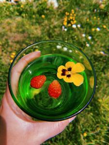 a person holding a green bowl with strawberries and a flower at Kokin Brod Apartments in Kokin Brod