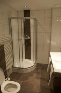 een badkamer met een douche, een toilet en een wastafel bij Schraberger - Top DINIE in Schladming