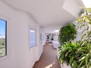 Zahrada ubytování Espacioso y encantador apartamento en las gaviotas