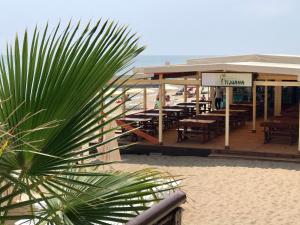 a restaurant on the beach with tables and a palm tree at студио Водолей in Obzor