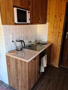 Kuchyň nebo kuchyňský kout v ubytování Łowisko Redyki