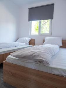 two twin beds in a bedroom with a window at Poiana cu flori in Satu Mare