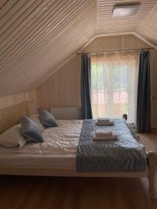 a bedroom with a bed with blue pillows and a window at VULYK z MEDOM in Bukovel