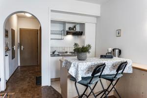 Kuchyň nebo kuchyňský kout v ubytování Residence Greymold