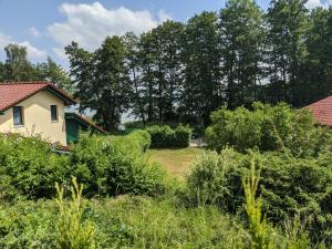 Κήπος έξω από το Ferienbungalows am Jabelschen See +4 φωτογραφίες