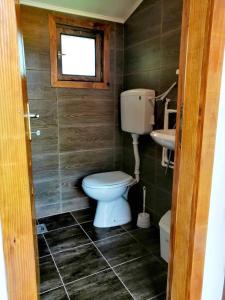 a bathroom with a toilet and a sink at Milosev Konak in Aleksandrovac