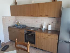 Kuchyň nebo kuchyňský kout v ubytování Apartman Emilio