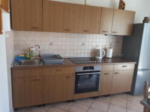 Kuchyň nebo kuchyňský kout v ubytování Apartman Emilio