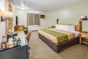 um quarto de hotel com uma cama e uma televisão em Econo Lodge, Downtown Custer Near Custer State Park and Mt Rushmore em Custer