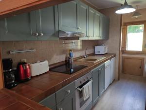 una cocina con armarios verdes y fregadero en SUITEDREAMS - Camp de Baix en La Massana