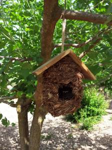 Fotografia z galérie ubytovania STATHI'S COTTAGE v destinácii Divarata