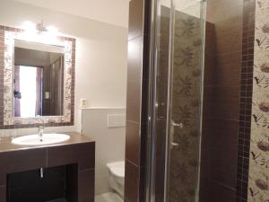 a bathroom with a shower and a sink at Penzion U Císaře Zikmunda in Znojmo +18 photos
