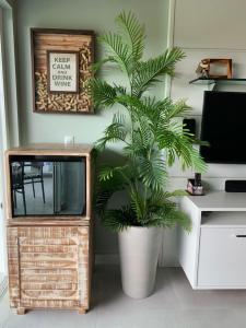 Eine Palmenpflanze in einem weißen Topf neben einem TV in der Unterkunft Flat 808 Villa Hípica in Gravatá