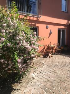 a bush with pink flowers in front of a building at Moderne großzügige Souterrainwohnung Zarrentin Gallin Schaalsee Natur Wald Wasser in Gallin