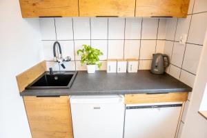 a small kitchen with a sink and a dishwasher at Miodowa Zagroda - nocleg Zator Energylandia in Miejsce