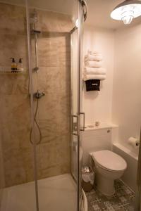 a bathroom with a shower and a toilet at Stone's throw Cottage Mevagissey in Mevagissey