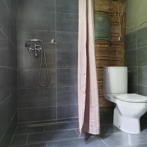 a bathroom with a toilet and a shower at Chata góralska Wojtasówka in Kamesznica