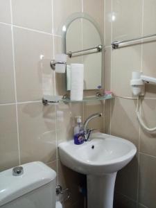 ÇamlıhemşinにあるDemircioglu Pokut Dag Eviのバスルーム(洗面台、トイレ、鏡付)