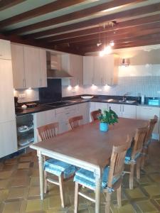 A kitchen or kitchenette at Wenceslas Cobergher Penthouse