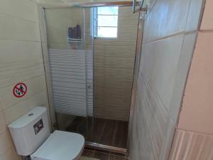 a small bathroom with a toilet and a shower at Villa Kontesa Kamara Corfu in Kamára