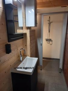 a bathroom with a sink and a shower at tHoefijzer Luxere Blokhutten - 5 personen in Zwiggelte