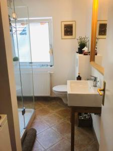 a bathroom with a shower and a sink at Ferienwohnung Attersee-Mondsee in Unterach am Attersee