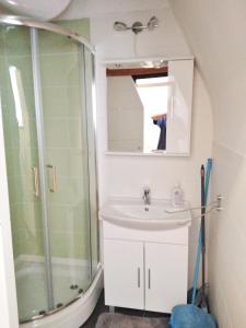 a bathroom with a shower and a sink at Rogla Apartma Gaber54 in Zreče
