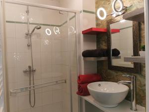 uma casa de banho com um chuveiro, um lavatório e um espelho. em Ty Clément em Dinan
