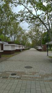 eine Kopfsteinpflasterstraße mit Bäumen in einem Park in der Unterkunft LAVENDER APARTMENT in Balatonboglár