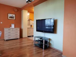 ein Wohnzimmer mit einem Flachbild-TV an der Wand in der Unterkunft Apartment Piknik in Stará Lesná