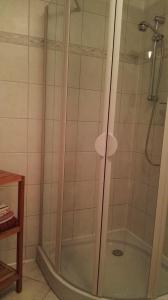 ライプツィヒにあるFeriendomizil-Roger-Wohnung-1のバスルーム(ガラスドア付きのシャワー付)