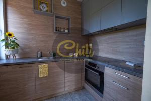 Kuchyň nebo kuchyňský kout v ubytování Chill Apartments City Link