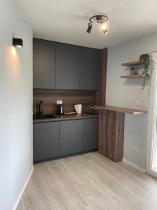 a kitchen with gray cabinets and a wooden floor at Diamond apartments in Sarajevo