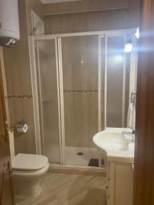 a bathroom with a shower and a toilet and a sink at Perla Del Sol 1 l in Torremolinos