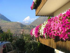 Vista generica sulle montagne o vista sulle montagne dall'interno dell'affittacamere