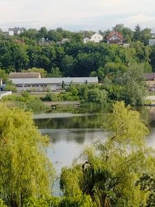 - une vue sur une rivière avec des arbres et des bâtiments dans l'établissement Квартира в центре с видом на Южный Буг, à Vinnytsia