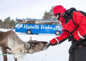 Zvířata v hotelu nebo okolí