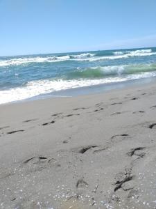 una imagen de huellas en la arena de la playa en Sea Side Studio, en Viareggio