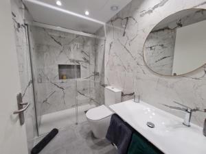 LoftinMalaga في مالقة: حمام مع دش ومرحاض ومغسلة